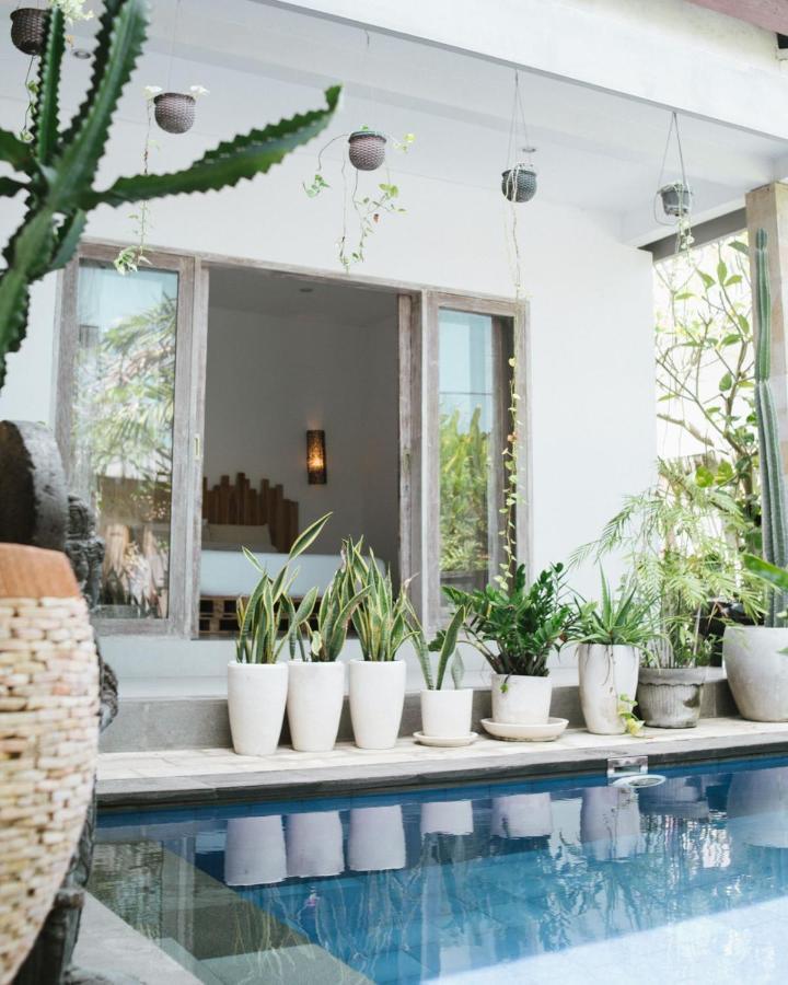 Cat Cow Yoga Villa Canggu Exterior foto